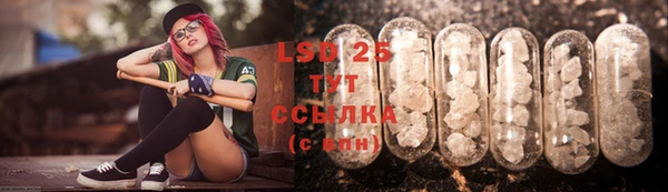 дживик Чита