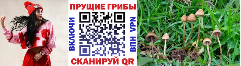 Псилоцибиновые грибы ЛСД  OMG   Спас-Клепики 